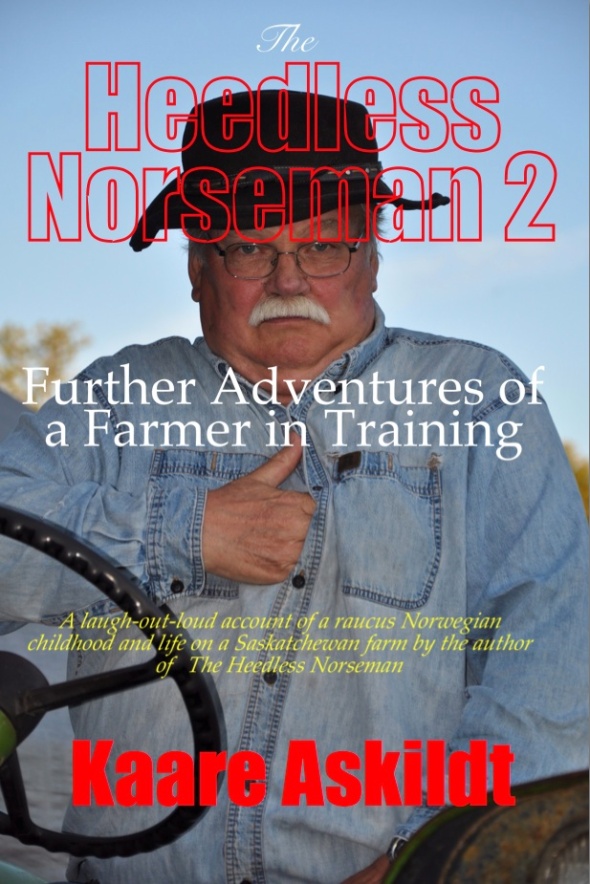 Heedless Norseman 2 Front Cover